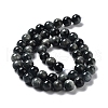 Natura Hawk's Eye Beads Strands G-D0001-22B-8mm-01-3