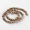 Electroplated Natural Dragon Bone Stone Beads Strands G-I177-02B-2