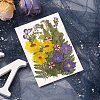 Pressed Dried Flowers DIY-YWC0001-97-5