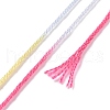 10 Skeins 6-Ply Polyester Embroidery Floss OCOR-K006-A75-3