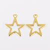 201 Stainless Steel Charms X-STAS-F162-13G-2