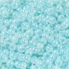 Glass Seed Beads SEED-H002-H-1304-3