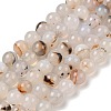 Natural Dendritic Agate Beads Strands G-A248-A07-02-2
