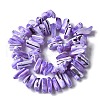 Dyed Natural Trochus Shell Beads Strands SSHEL-C013-09N-2