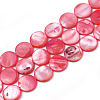 Freshwater Shell Beads SHEL-S274-13B-1
