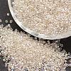 6/0 Round Glass Seed Beads SEED-J017-F6-662-1