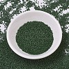 MIYUKI Delica Beads SEED-X0054-DB0797-1