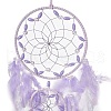 Iron Woven Web/Net with Feather Pendant Decorations AJEW-B017-05-3