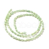 Natural Trochus Shell Beads Strands SHEL-K006-19E-2