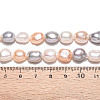 Natural Cultured Freshwater Pearl Beads Strands PEAR-N014-09A-02-6