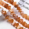 Natural Orange Botswana Agate Beads Strands G-S376-006-4