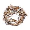 Natural Trochus Shell Beads Strands BSHE-Q050-01B-2
