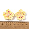 Resin Cabochons OACR-U002-03B-3