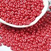 Baking Paint Luster Glass Seed Beads SEED-B001-04A-04-1