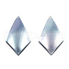 Natural Turbo Cornulus/Top Shells Cabochons SSHEL-N003-154-3