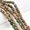 Natural Verdite Stone Beads Strands G-N346-02B-06-1