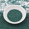 MIYUKI Delica Beads X-SEED-J020-DB2381-2