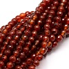 Faceted Natural Agate Round Beads Strands G-E319B-6mm-02-1