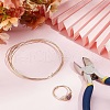 Beebeecraft 1.5M Brass Craft Wire CWIR-BBC0001-04B-4