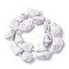 Natural Howlite Beads Strands G-B024-07-2