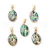 Constellation Natural Paua Shell Pendants KK-P265-01G-08-1