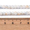 Pearlized Handmade Lampwork Beads Strands LAMP-R020-04C-4