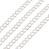 Iron Twisted Chains CH-0.7DK-S-1