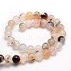 Natural Dendritic Agate Round Beads Strands G-E321C-12mm-01-2