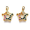 316 Surgical Stainless Steel Charms STAS-N097-009LG-2