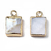 Natural Freshwater Shell Charms X-SHEL-N026-147-2