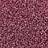 MIYUKI Delica Beads SEED-J020-DB0428-2