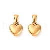 304 Stainless Steel Charms STAS-A117-02B-G-1
