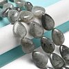 Natural Labradorite Beads Strands G-P528-L03-01-2