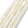 Natural Trochus Shell Beads Strands SSHEL-S266-020A-06-1