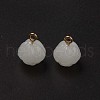 Glass Charms GLAA-Q092-05-2