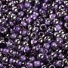 Glass Seed Beads SEED-A032-06W-3