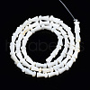 Natural Freshwater Shell Beads Strands SHEL-N026-199-2