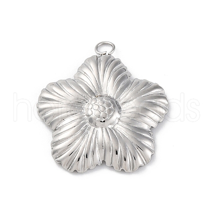 304 Stainless Steel Pendants STAS-Z114-02P-1