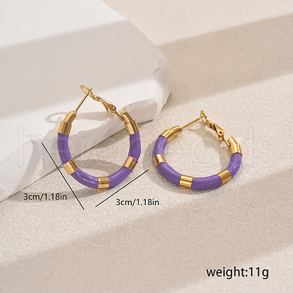 Sweet Stainless Steel Classic Hoop Earrings for Women ZH6889-1-1