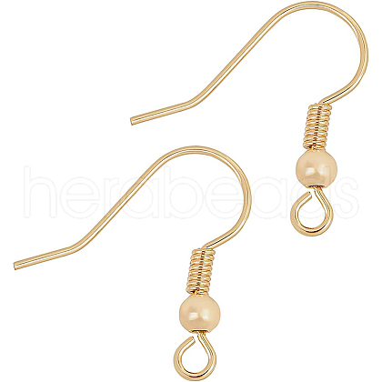 Brass Earring Hooks KK-BC0005-08G-1