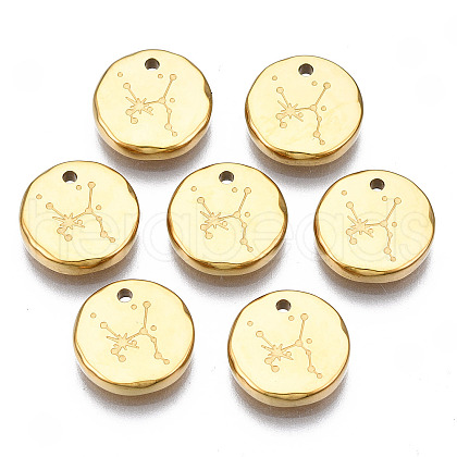 316 Surgical Stainless Steel Charms STAS-S116-418G-G-1