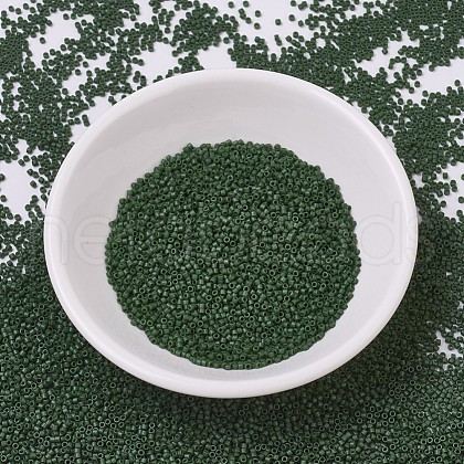 MIYUKI Delica Beads SEED-X0054-DB0797-1