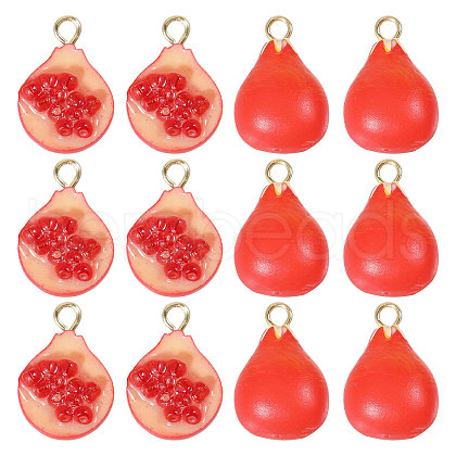 CHGCRAFT 12Pcs 2 Styles Opaque Resin Pendants RESI-CA0001-76-1