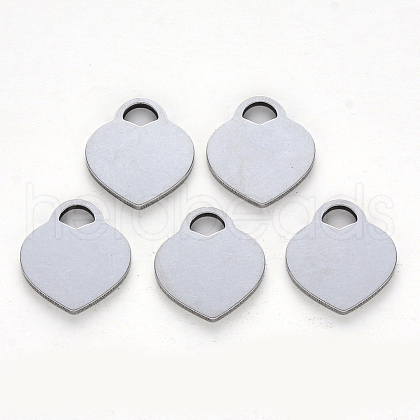 Tarnish Resistant 304 Stainless Steel Charms STAS-N092-22-1