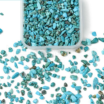 50G Natural Howlite Chip Beads G-YW0001-81-1