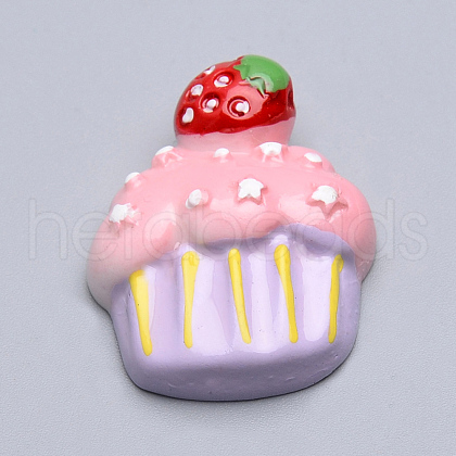 Resin Cabochons CRES-T005-47-1