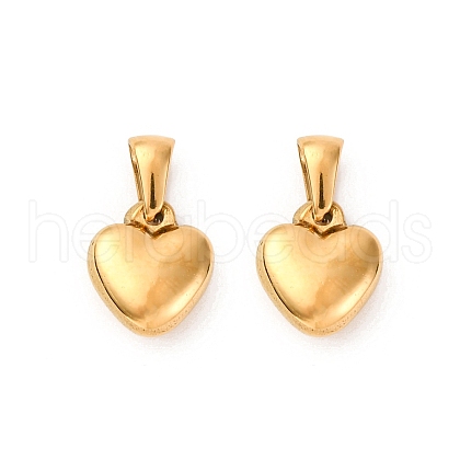 304 Stainless Steel Charms STAS-A117-02B-G-1