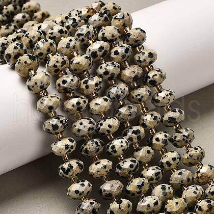 Natural Dalmatian Jasper Beads Strands G-P573-A63-10x6mm-1