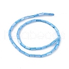 Natural Freshwater Shell Dyed Beads Strands X-SHEL-M018-11-06-2