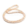 Glass Beads Strands EGLA-P052-03C-05-2